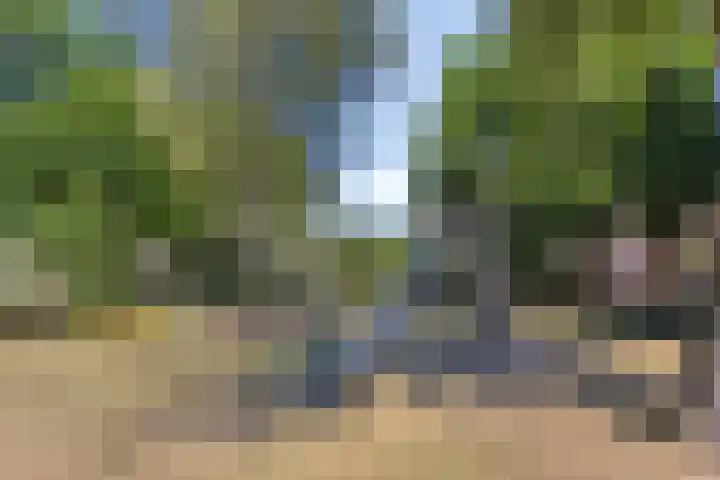 Wolfsheining 4 Rijsbergen thumbnail 45