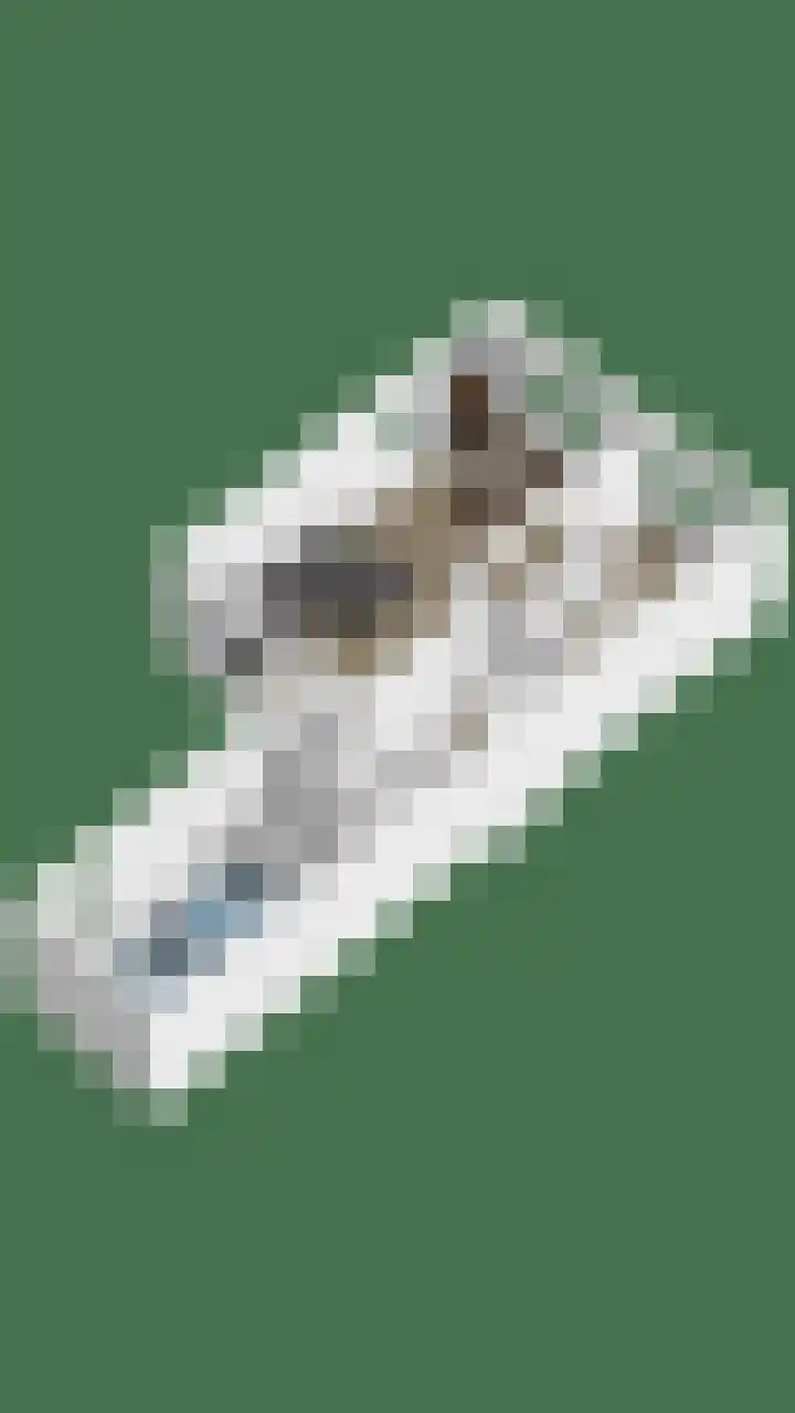 Wolfsheining 4 Rijsbergen thumbnail 53