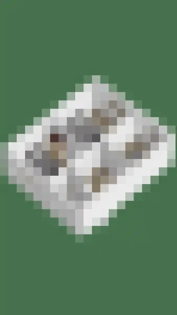 Wolfsheining 4 Rijsbergen thumbnail 54