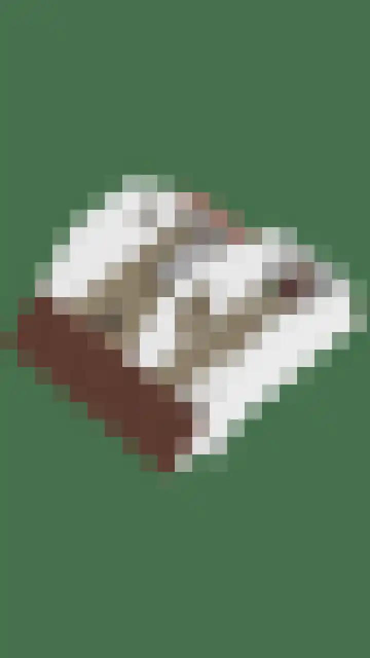Wolfsheining 4 Rijsbergen thumbnail 55