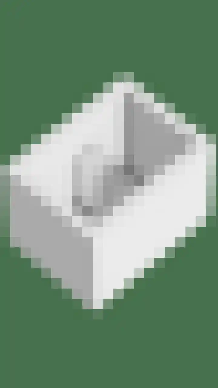 Wolfsheining 4 Rijsbergen thumbnail 58