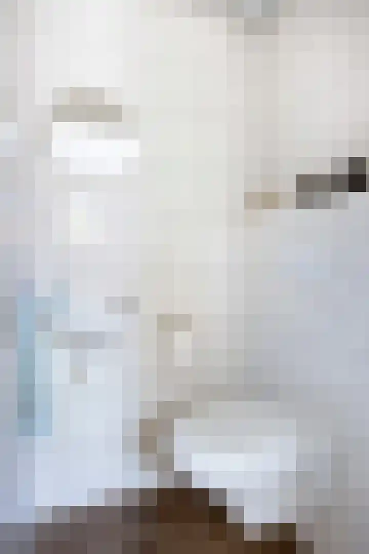 Wolfsheining 4 Rijsbergen thumbnail 6