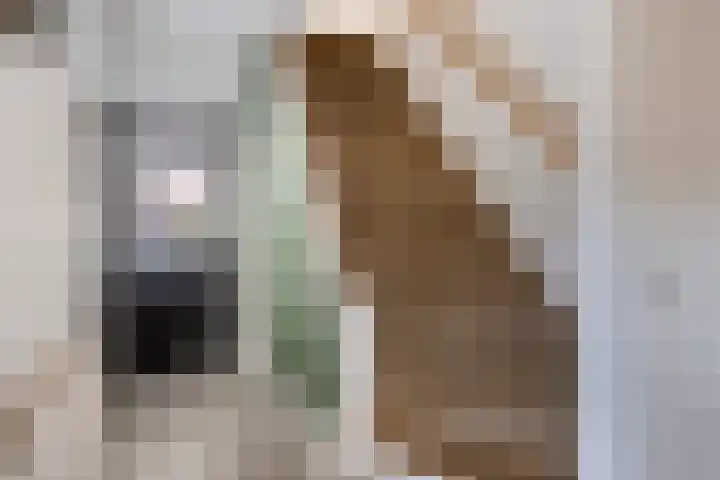 Wolfsheining 4 Rijsbergen thumbnail 7
