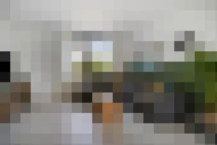 Wolfsheining 4 Rijsbergen thumbnail 8