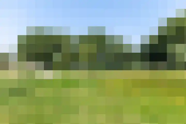 Wolfskamerweg 72 Vught thumbnail 48
