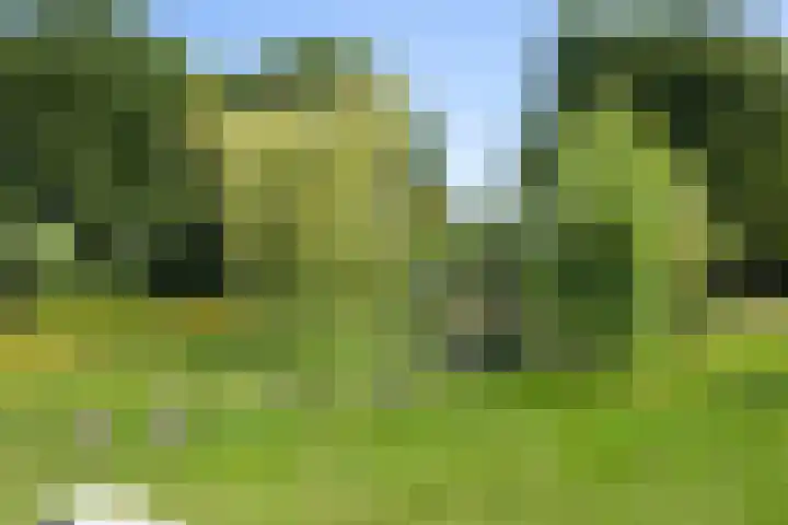 Wolfskamerweg 72 Vught thumbnail 50