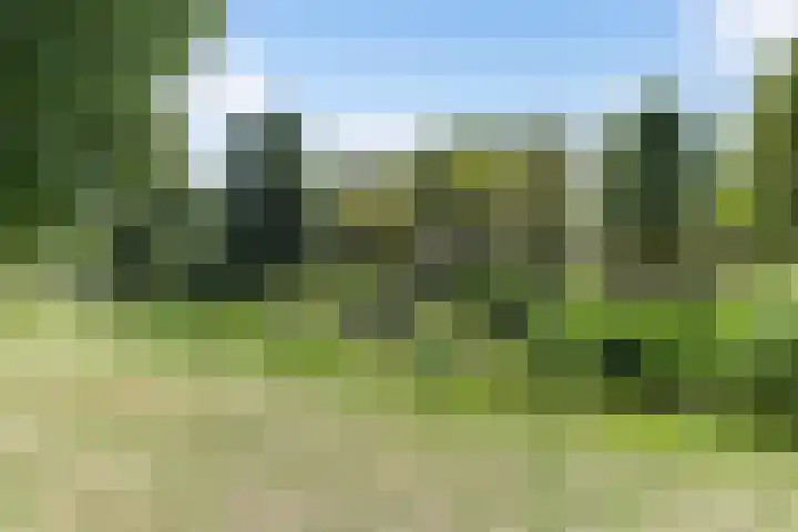 Wolfskamerweg 72 Vught thumbnail 6