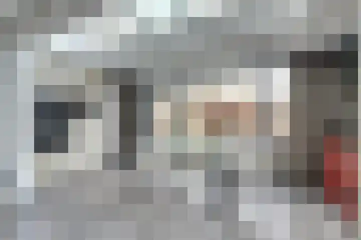 Wolfskers 1 Venray thumbnail 11