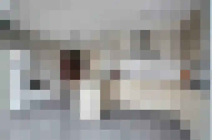 Wolfskers 1 Venray thumbnail 14