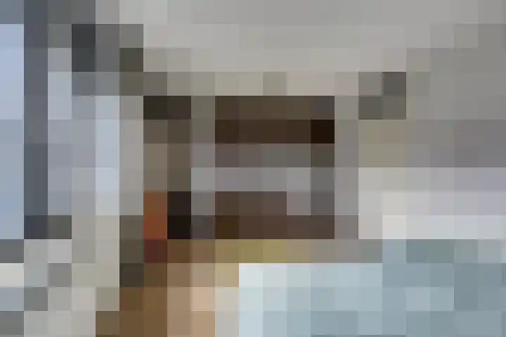 Wolfskers 1 Venray thumbnail 16