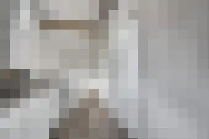 Wolfskers 1 Venray thumbnail 21
