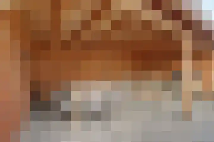 Wolfskers 1 Venray thumbnail 28