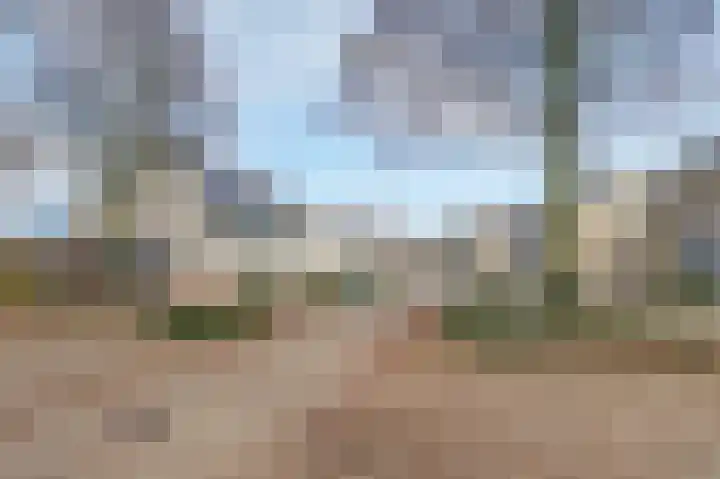 Wolfskers 1 Venray thumbnail 30