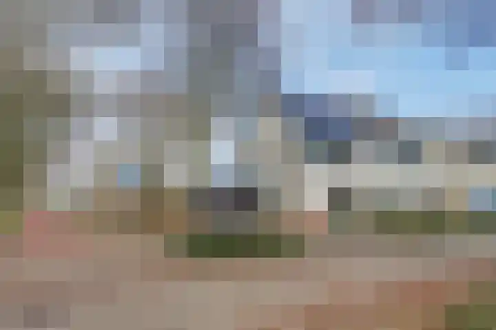 Wolfskers 1 Venray thumbnail 4