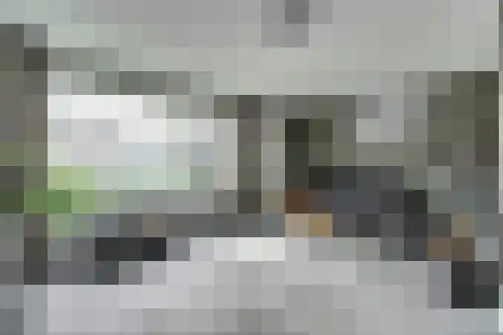 Wolfskers 1 Venray thumbnail 7
