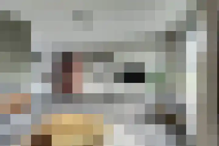 Wolfskers 1 Venray thumbnail 8