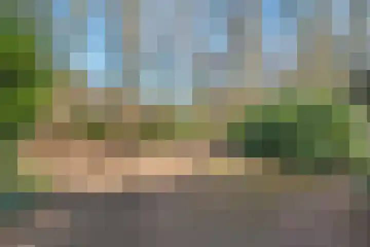 Wolfskuil 14 Ommen thumbnail 10