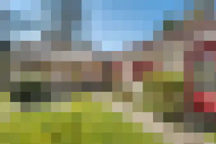 Wolfskuil 14 Ommen thumbnail 15