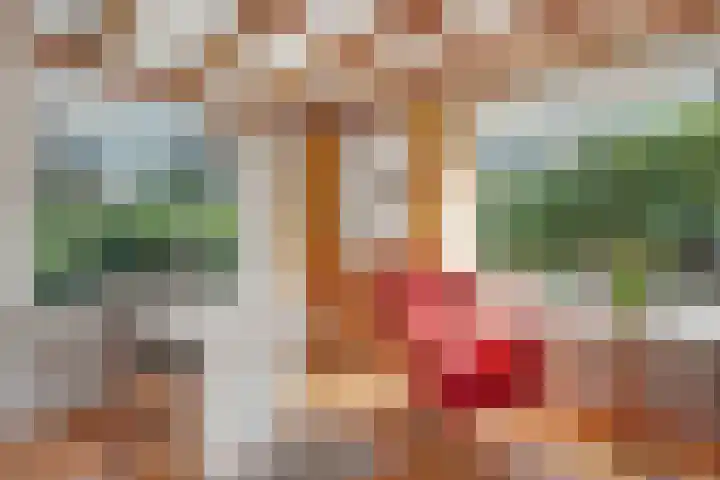 Wolfskuil 14 Ommen thumbnail 33