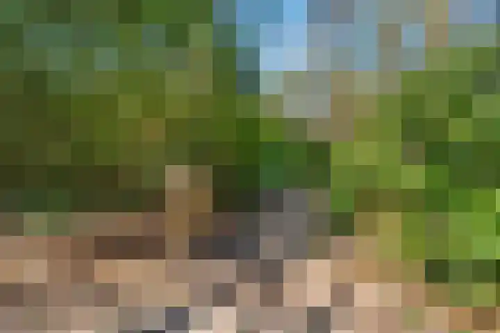 Wolfskuil 14 Ommen thumbnail 5