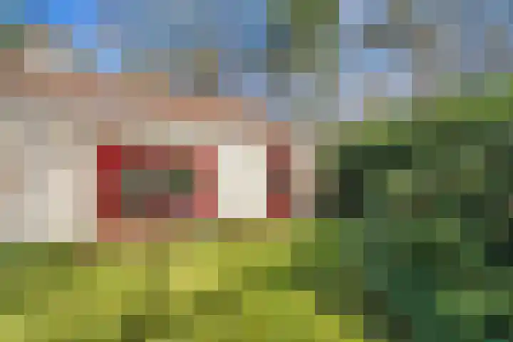 Wolfskuil 14 Ommen thumbnail 52