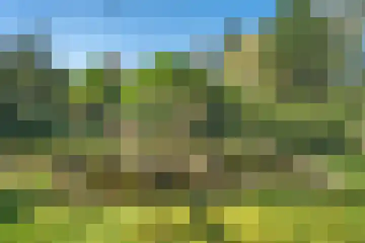 Wolfskuil 14 Ommen thumbnail 54