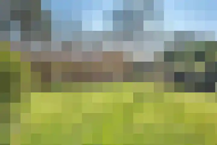 Wolfskuil 14 Ommen thumbnail 61