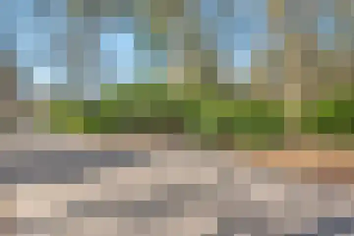 Wolfskuil 14 Ommen thumbnail 7