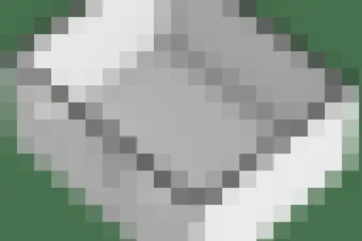 Wolfskuil 14 Ommen thumbnail 73