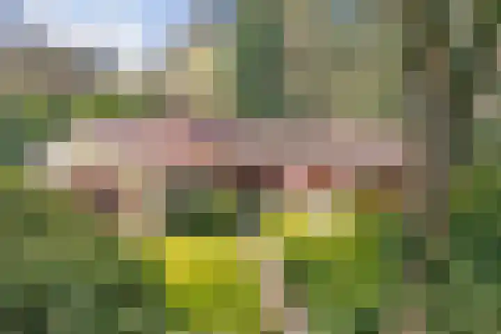 Wolfskuil 14 Ommen thumbnail 75