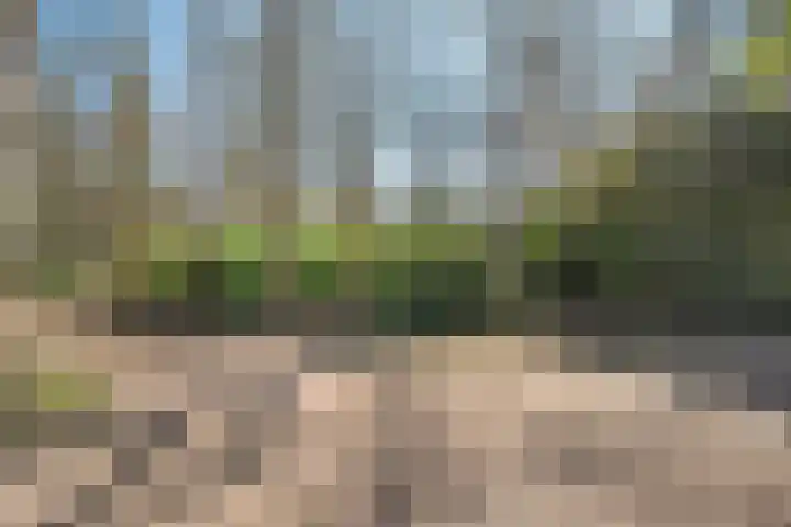 Wolfskuil 14 Ommen thumbnail 9