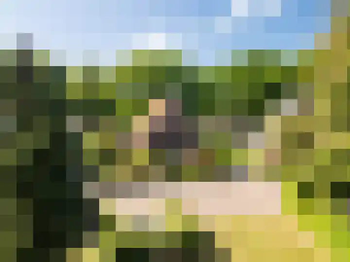 Wolfskuilstraat 7 in Ommen