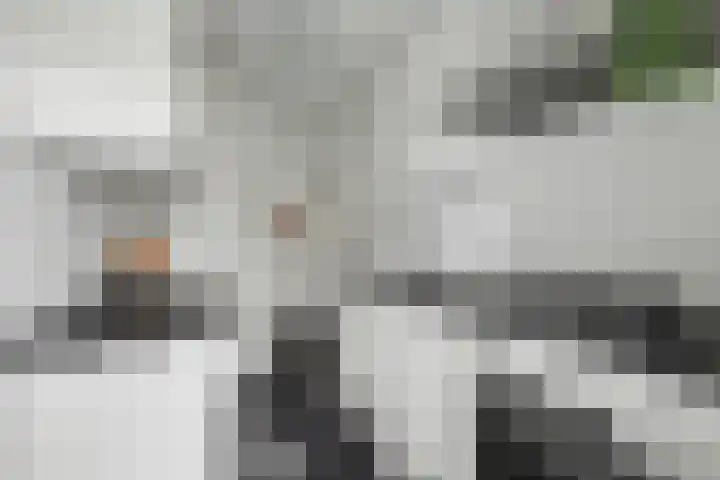 Wolfstraat 2 Nijmegen thumbnail 17