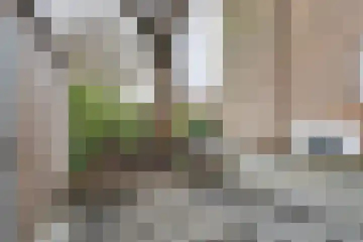 Wolfstraat 2 Nijmegen thumbnail 29