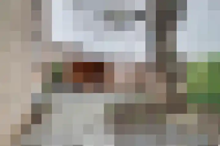 Wolfstraat 2 Nijmegen thumbnail 30