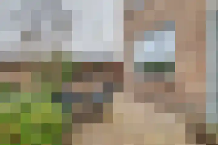 Wolfstraat 2 Nijmegen thumbnail 32