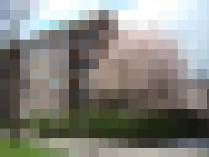 Wolfstraat 2 Nijmegen thumbnail 38
