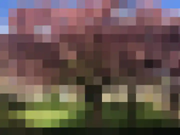 Wolfstraat 2 Nijmegen thumbnail 39