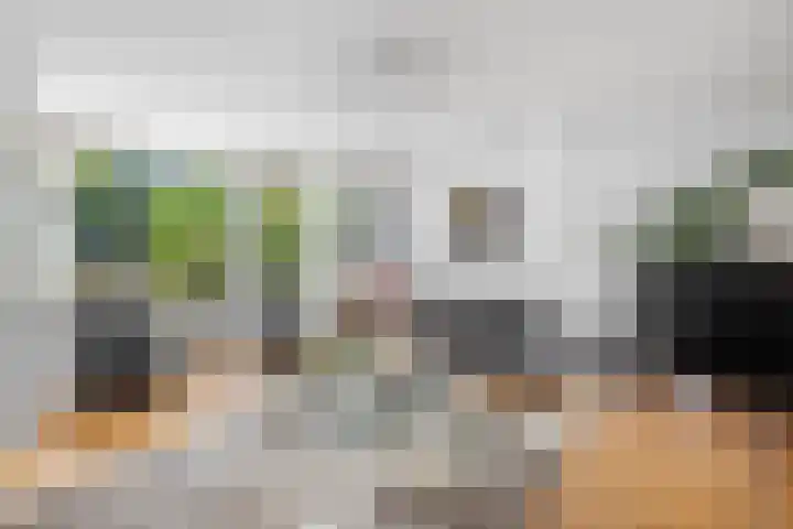 Wolfsven 7 Eindhoven thumbnail 10