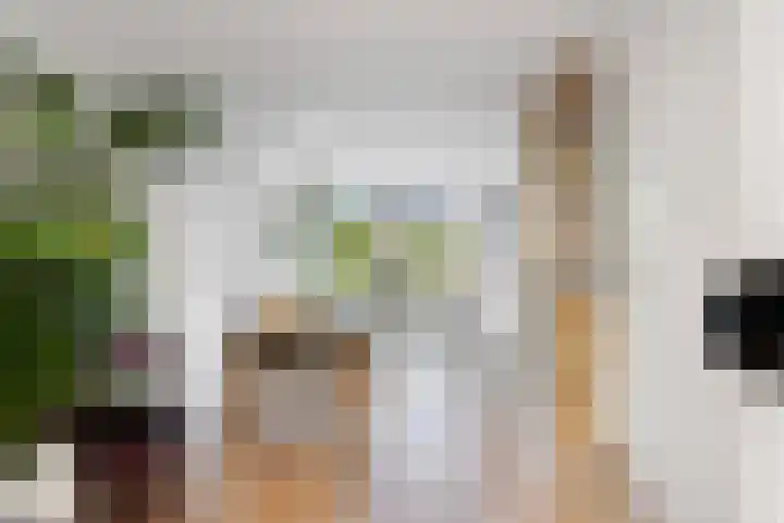 Wolfsven 7 Eindhoven thumbnail 11