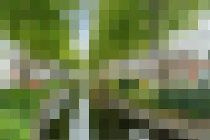 Wolfsven 7 Eindhoven thumbnail 12