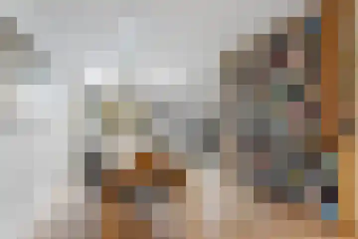 Wolfsven 7 Eindhoven thumbnail 12