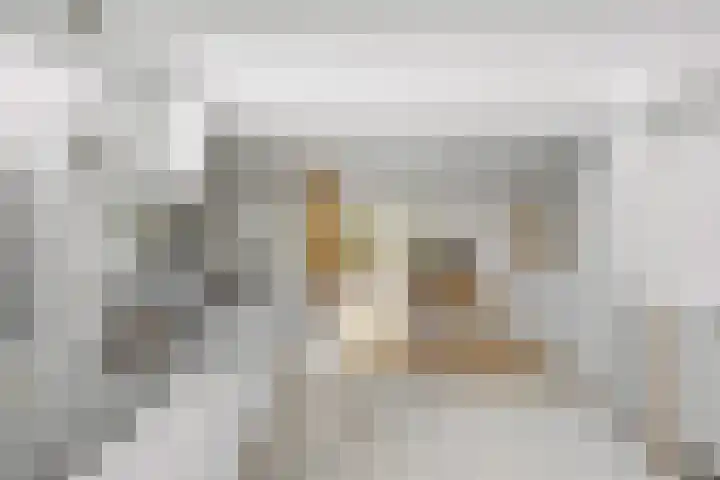 Wolfsven 7 Eindhoven thumbnail 21