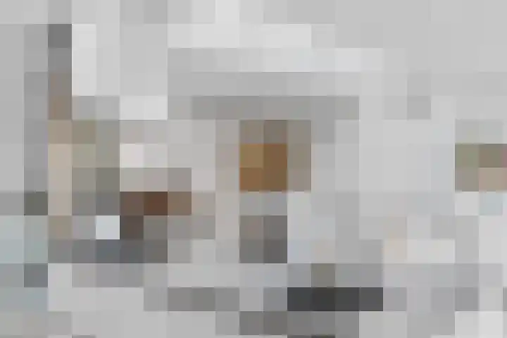 Wolfsven 7 Eindhoven thumbnail 24