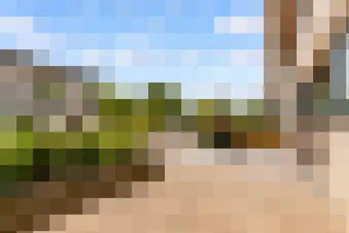 Wolfsven 7 Eindhoven thumbnail 26