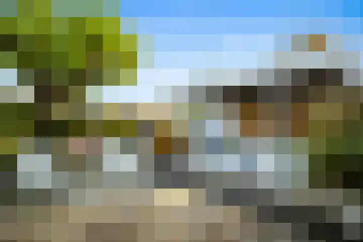 Wolfsven 7 Eindhoven thumbnail 29