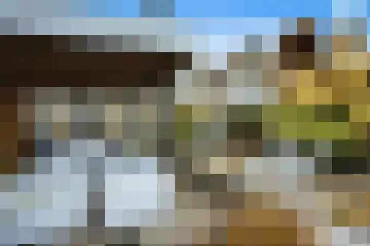 Wolfsven 7 Eindhoven thumbnail 33