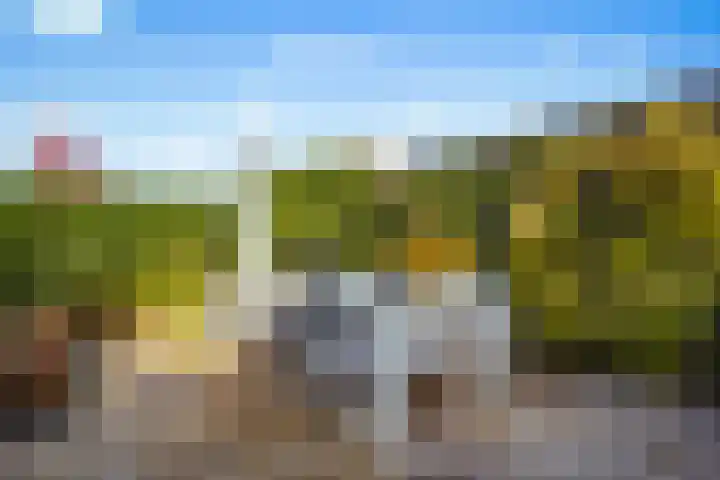 Wolfsven 7 Eindhoven thumbnail 34