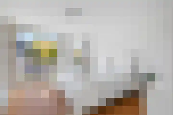 Wolfsven 7 Eindhoven thumbnail 4