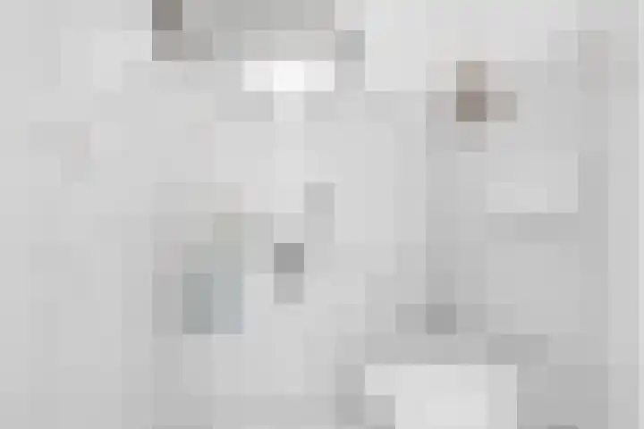 Wolfsven 7 Eindhoven thumbnail 41